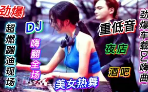 Download Video: 经典老歌配dj，酒吧车载DJ大碟，还得是老歌dj啊，高音质百听不厌