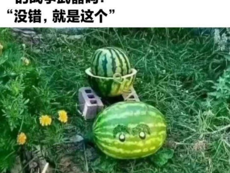 【梗图】网络雕图哔哩哔哩bilibili