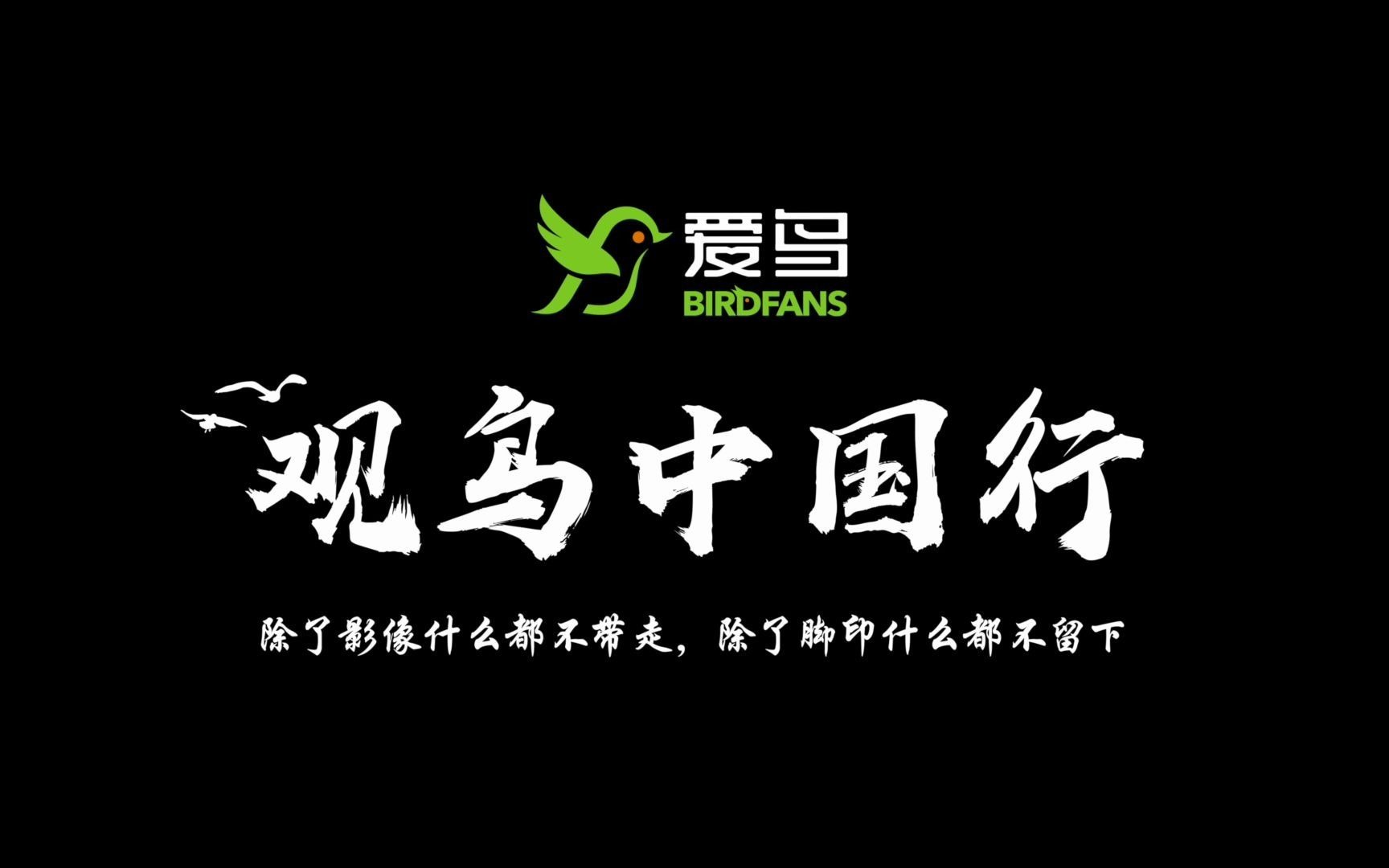 【观鸟中国行】2020北京秋季观鸟月观鸟及摄影大赛颁奖典礼在北京动物园圆满举行哔哩哔哩bilibili