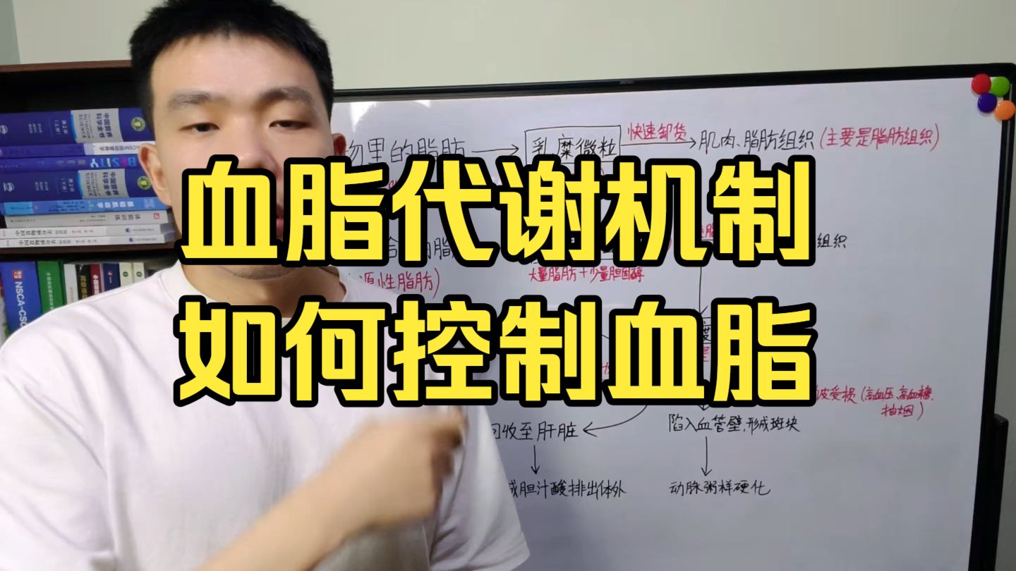 血脂代谢的全过程＆如何控制血脂