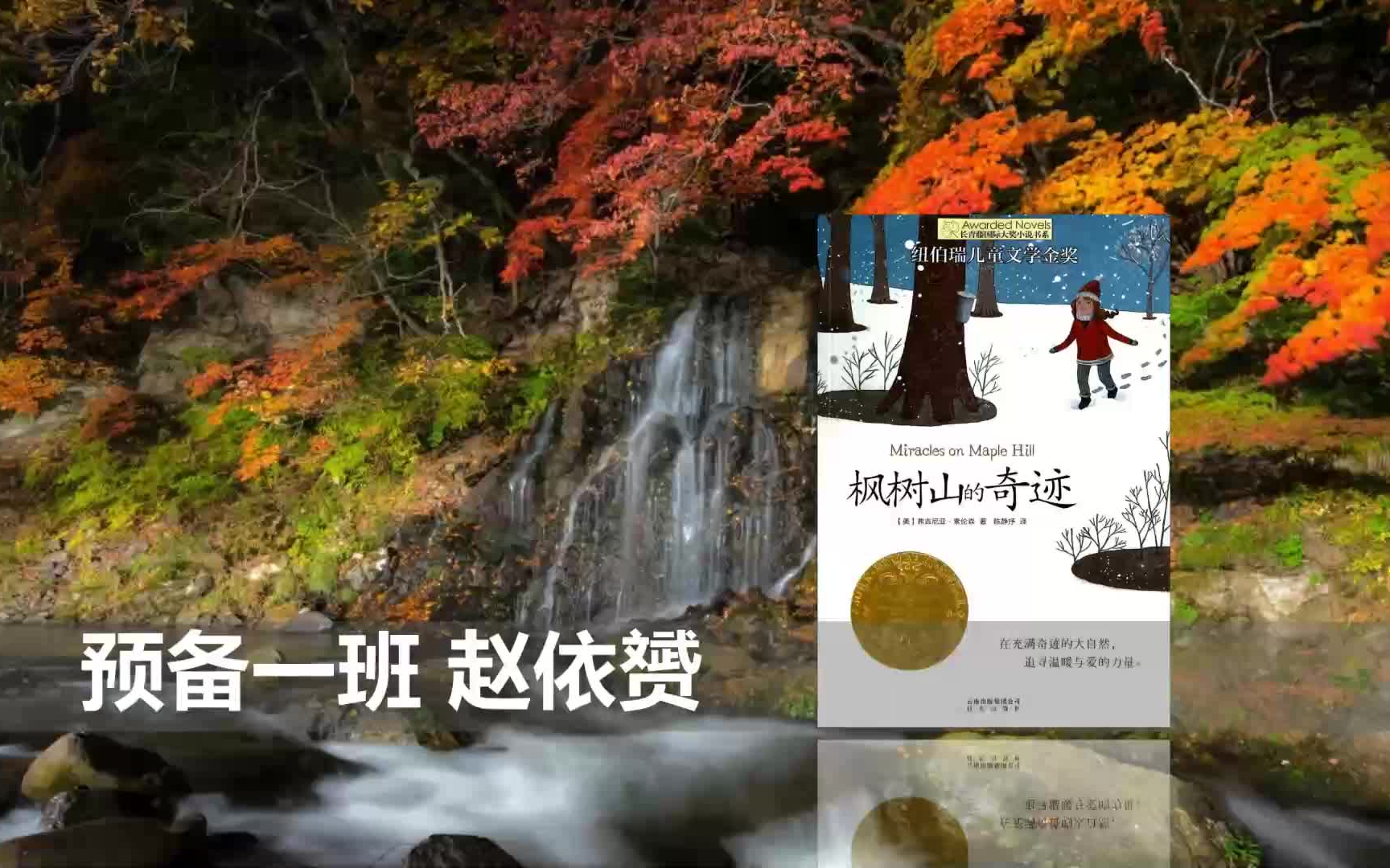 枫树山的奇迹推荐