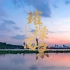 【4K】璀璨南京：历时一年，12万次快门展现六朝古都新美感