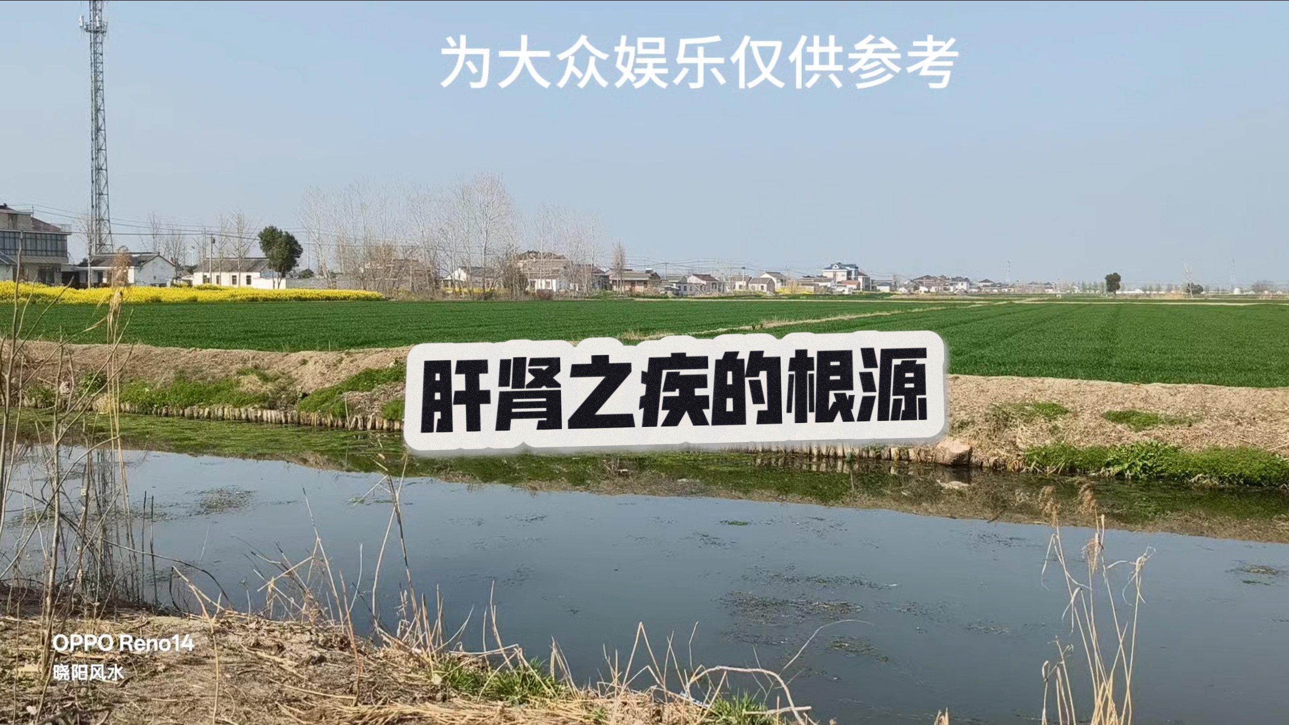 肝肾之疾的根源...江苏盐城
