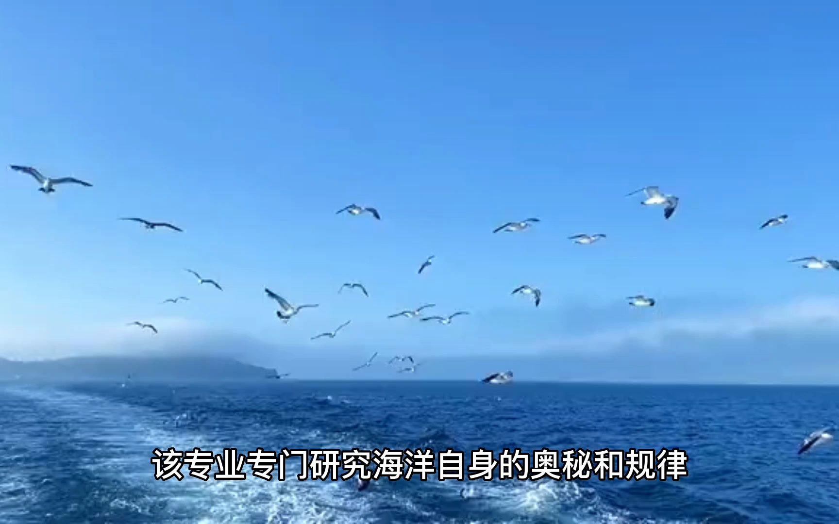 海洋科学类专业值得推荐吗?哔哩哔哩bilibili