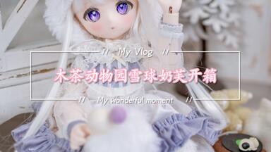 bjd兔豆豆开箱】这只花海小兔子谁家的？拎走啦！兽兽自制兔豆豆_哔哩哔