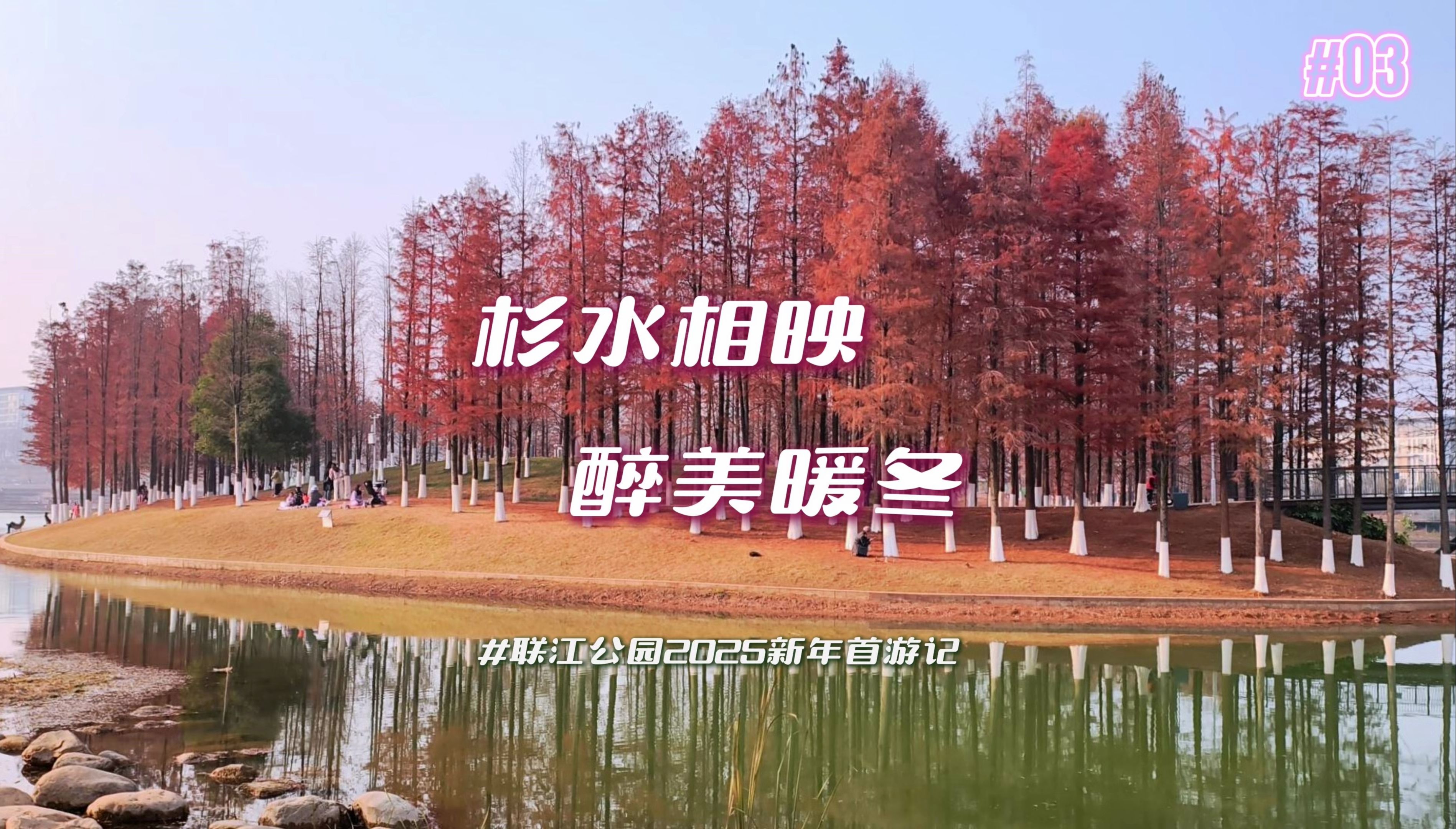 杉水相映,醉美暖冬#长沙联江公园2025新年首游记