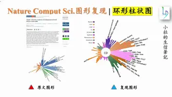 Download Video: Nature Comput Sci.图形复现 | 环形柱状图