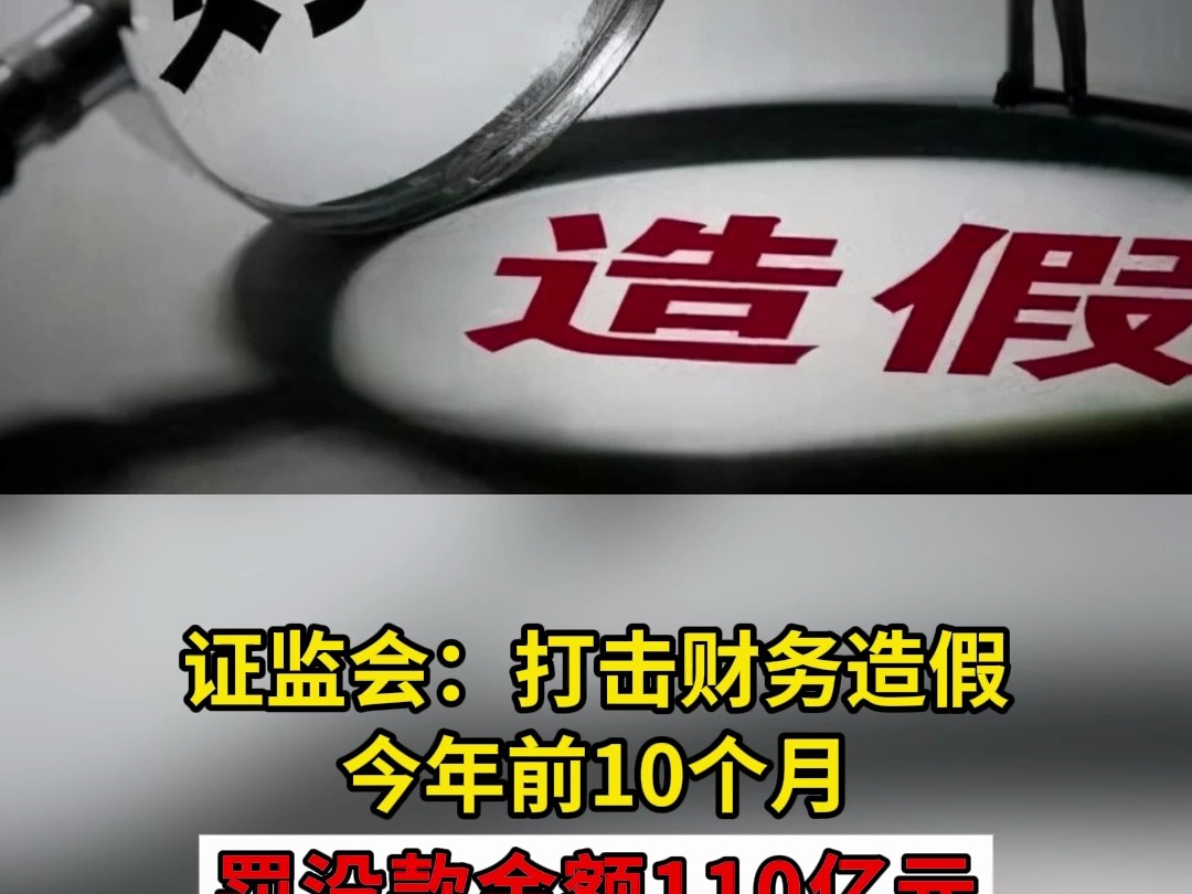 证监会:打击财务造假 今年前10个月罚没款金额110亿元哔哩哔哩bilibili