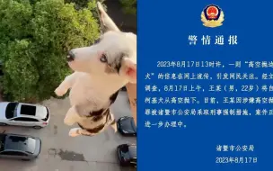 Download Video: 男子将柯基犬从高空抛下，还拍视频炫耀 警方：采取刑事强制措施