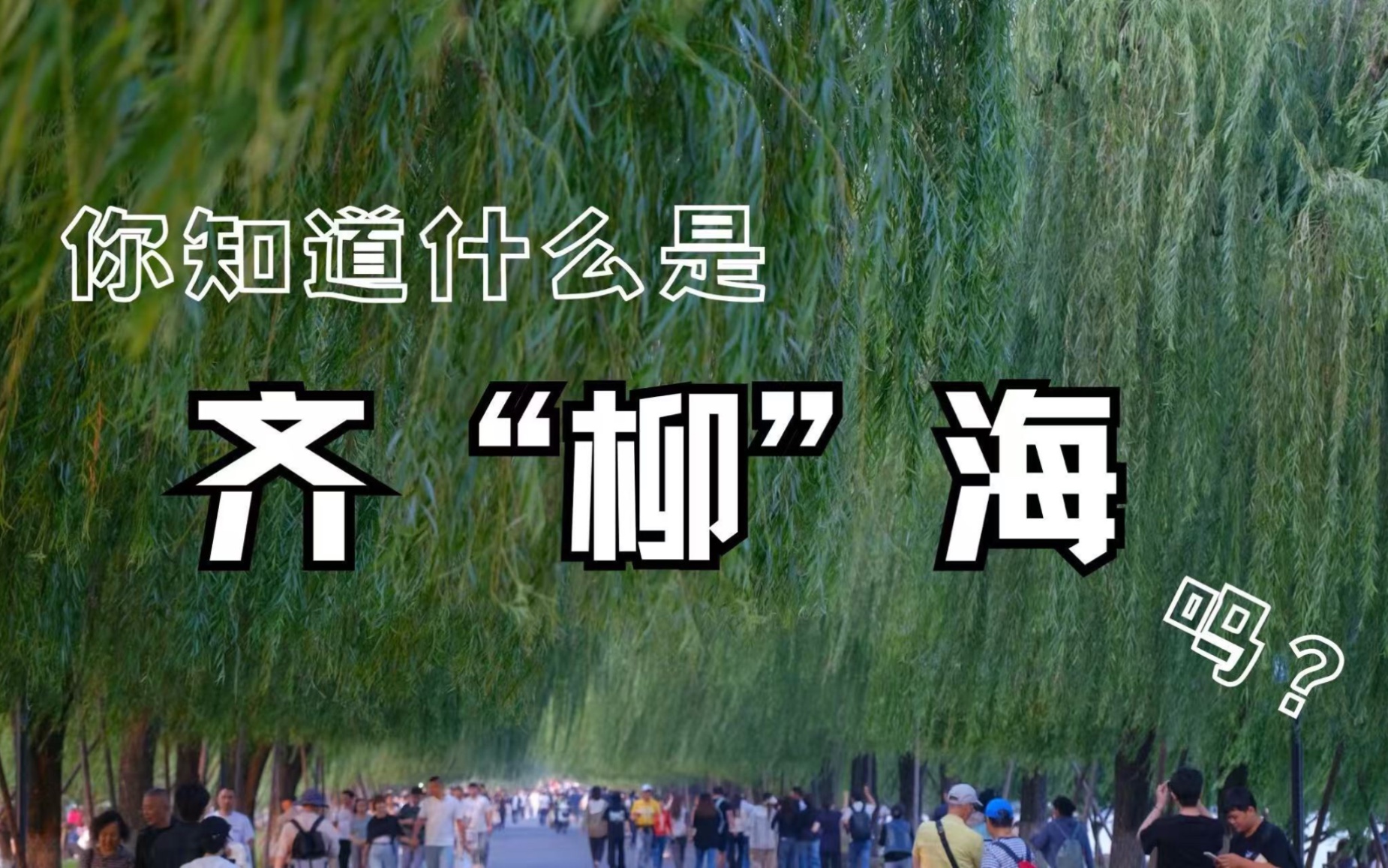 除了王楚钦,它也没逃过杭州tony,西湖柳树换新发型“齐柳海”,“没有人能笑着走出理发店”,来源#小羊拍客 #王楚钦发型 #西湖美景哔哩哔哩bilibili