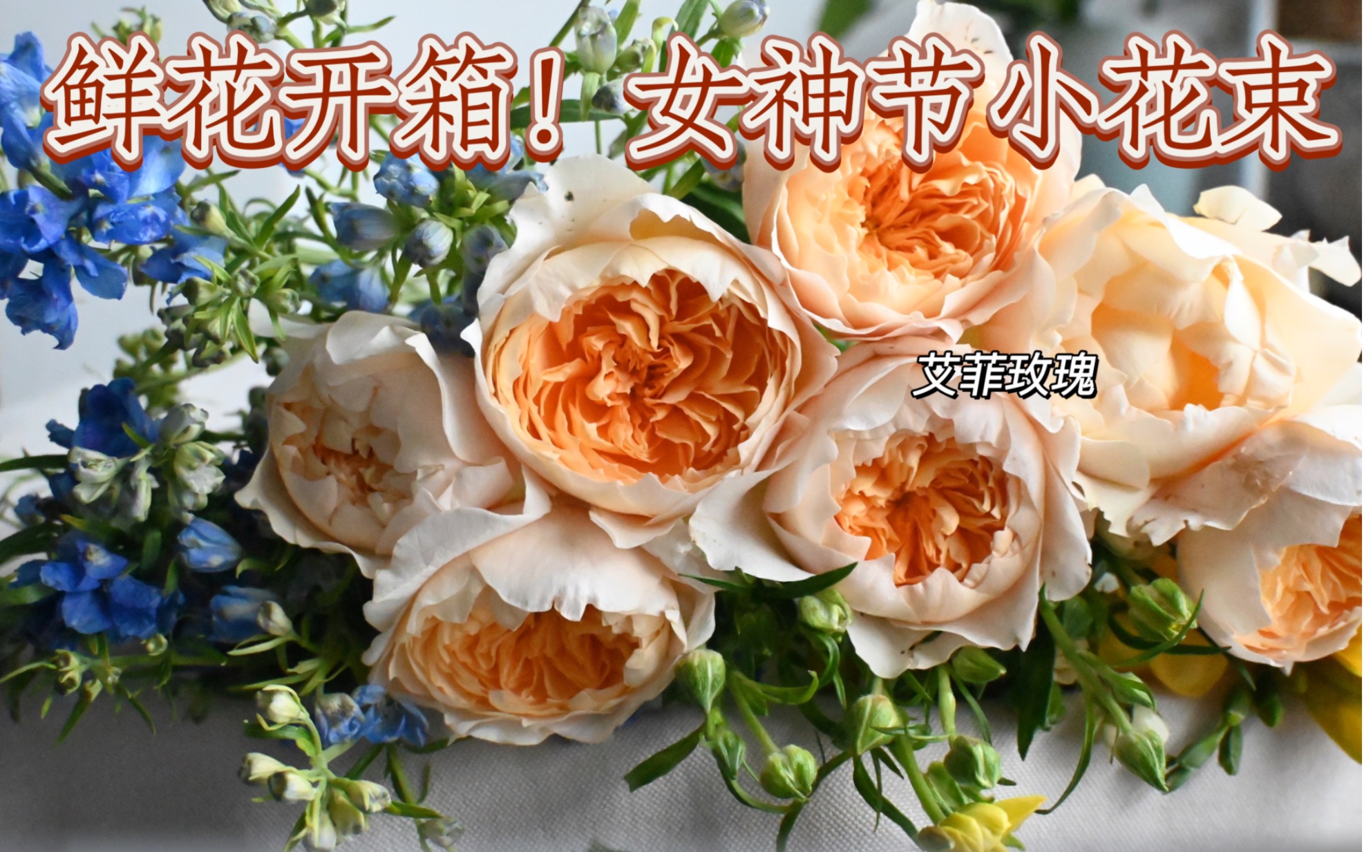 鲜花开箱!开始为三八女神节囤小花束花材啦~艾菲玫瑰、小飞燕、蝴蝶洋牡丹我超爱哔哩哔哩bilibili