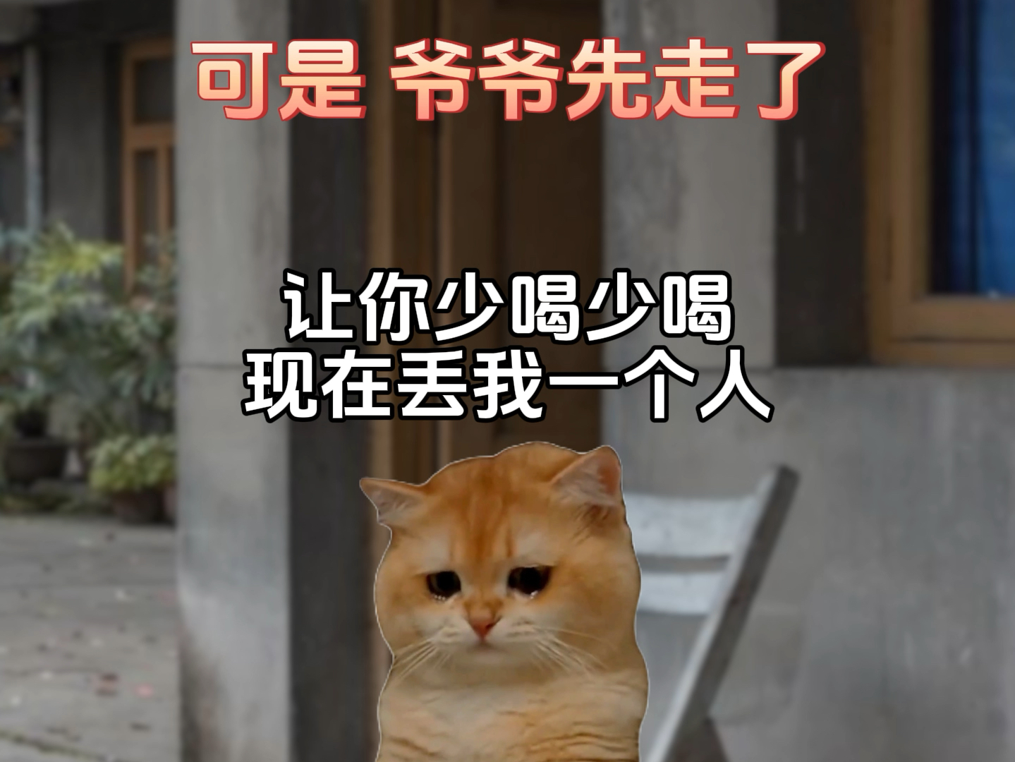 老一辈的爱情故事#故事源于网络#猫meme剧场#真实还原#爱情#小猫哔哩哔哩bilibili