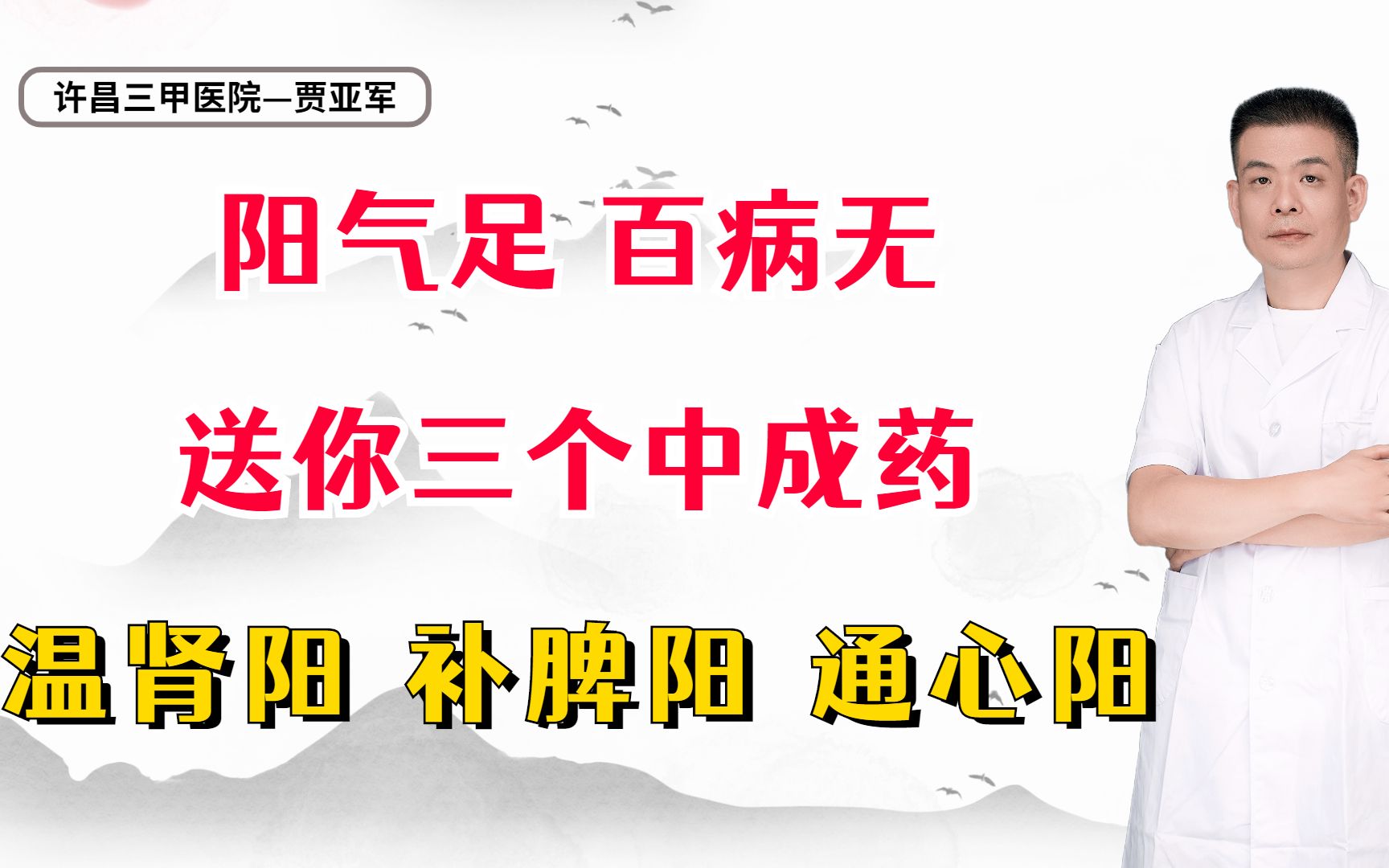 阳气足,百病无,送你三个中成药,温肾阳,补脾阳,通心阳哔哩哔哩bilibili