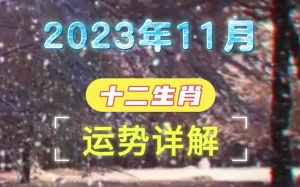 2023年11月十二生肖运势详解哔哩哔哩bilibili