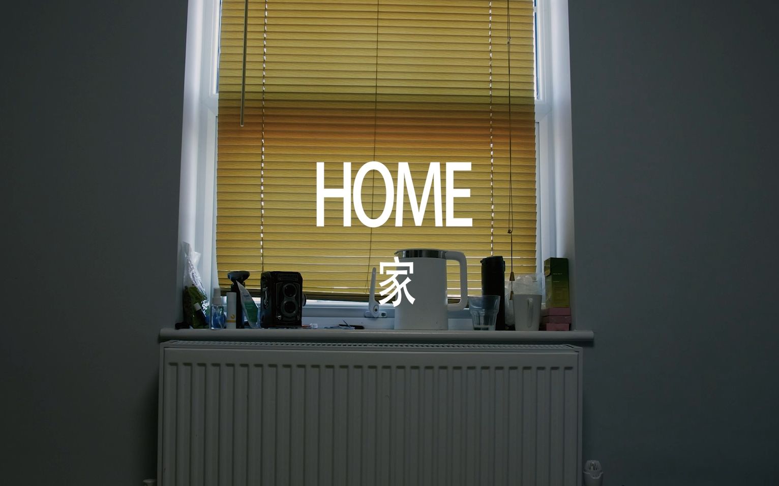 [图]英国隔离纪录片--家HOME