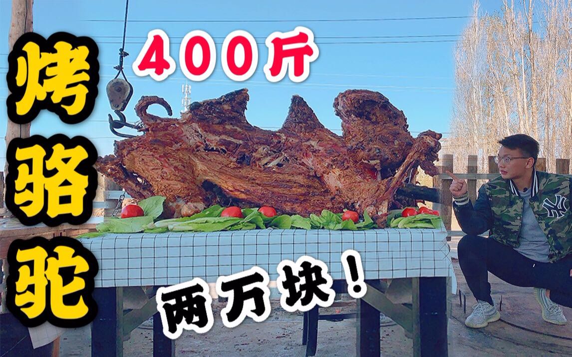 [图]【烤骆驼】虽迟但到！2万元，400斤整只骆驼！飞越4000公里抵达新疆耗时一周完成终极烧烤大菜烤骆驼！