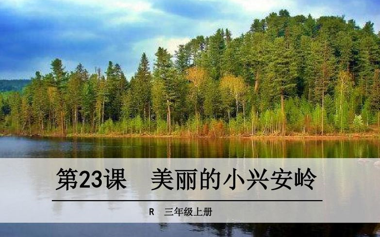 [图]【课件】《美丽的小兴安岭》部编人教版三年级语文上册YW03A-081-KJ