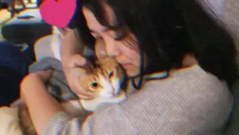 刚收藏的这套壁纸太适合我家三大只了😹女大十八变 2020过个真香年 变身奥义_