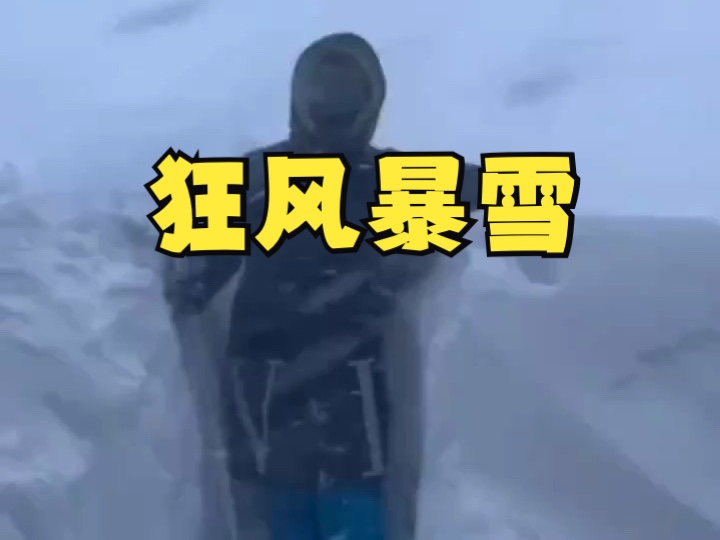 狂风暴雪!寒潮袭击俄罗斯远东地区哔哩哔哩bilibili