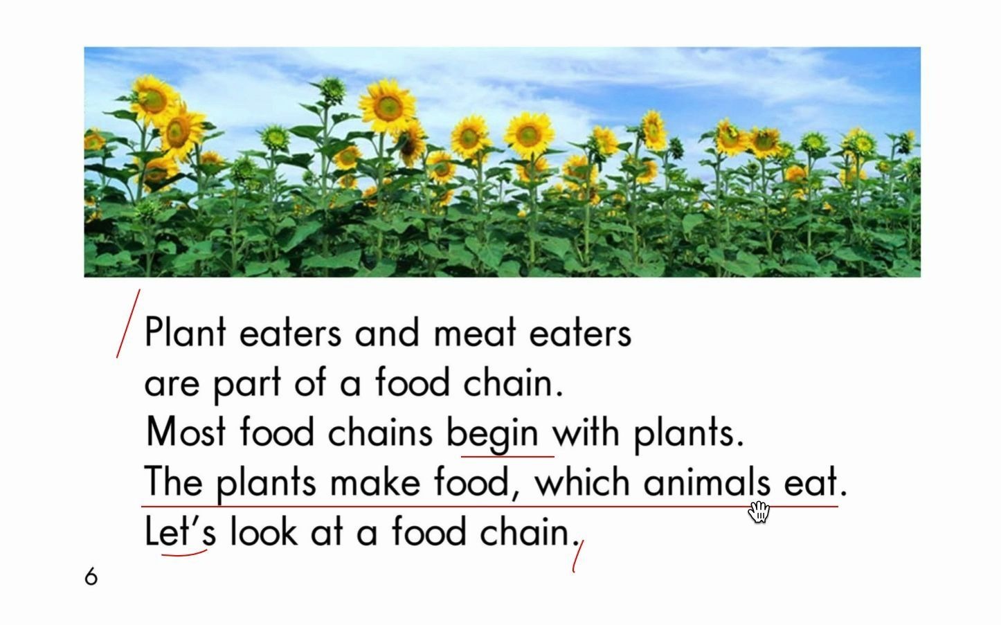 绘本阅读-raz-level-f-39-the food chain