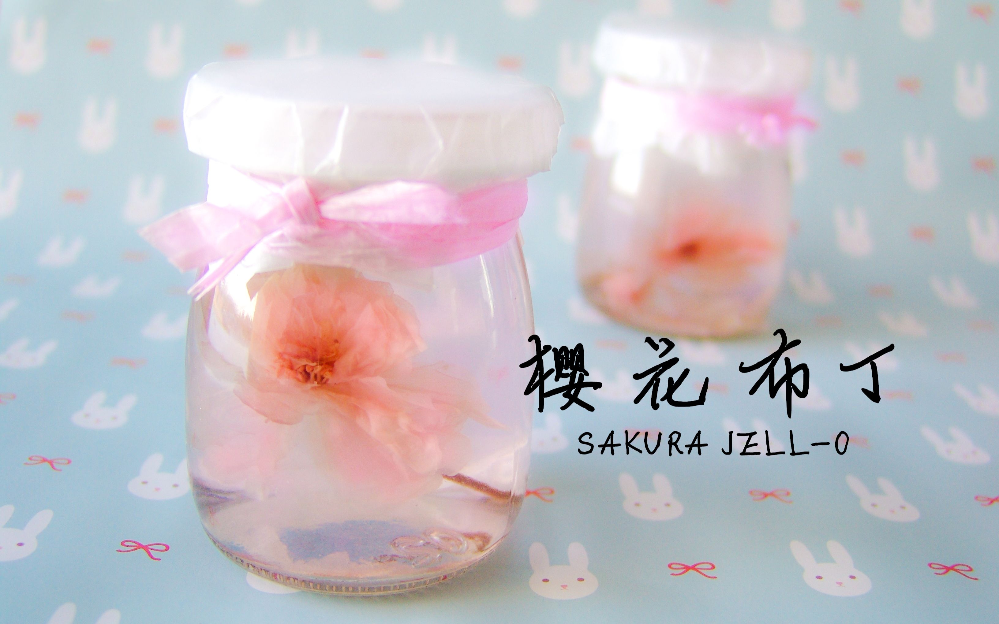 樱花布丁 SAKURA JELLO哔哩哔哩bilibili