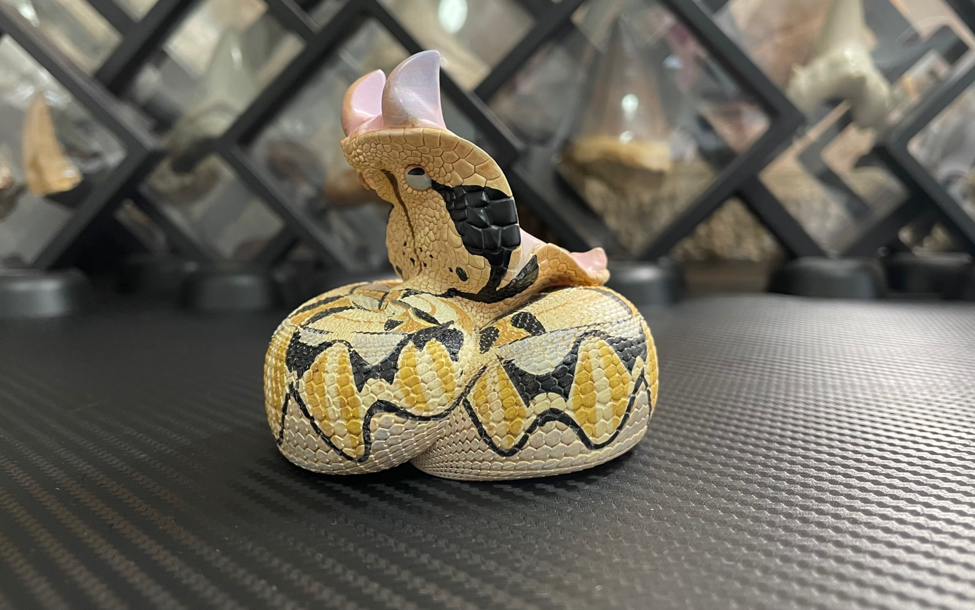 看我凶不凶——犀角咝蝰(动物星球手办)