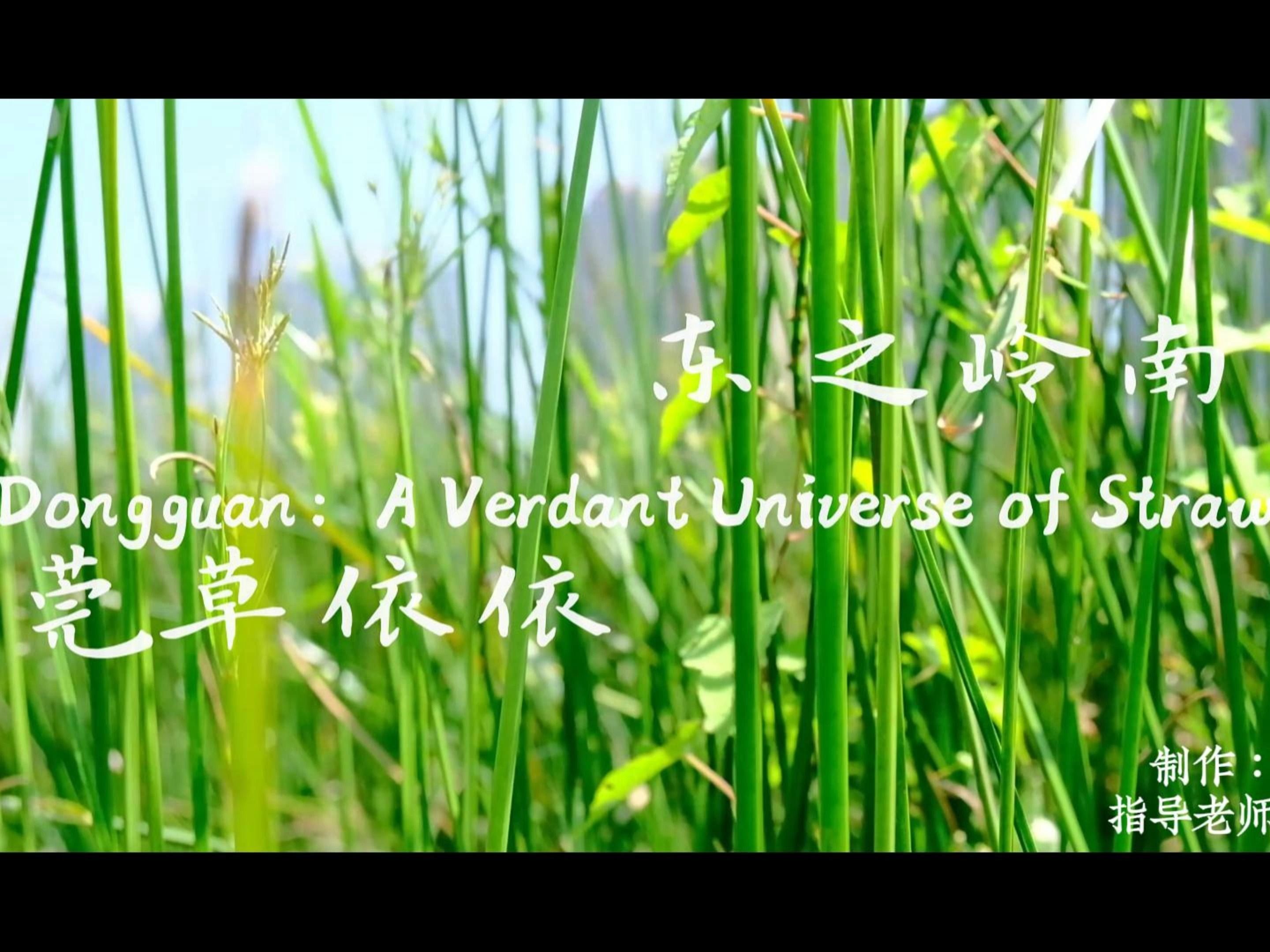 [图]东莞为什么叫做东莞？——广东省高教社杯“用英语讲大湾区文化”优秀短视频比赛一等奖获奖作品