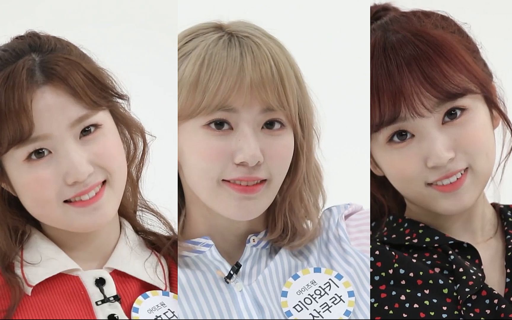 izone樱花line violeta周偶直拍同屏