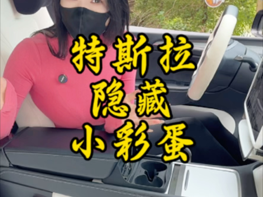 你知道最后一个彩蛋是什么意思吗#特斯拉 #modely #model3 #特斯拉隐藏小技巧 #特斯拉玩法哔哩哔哩bilibili