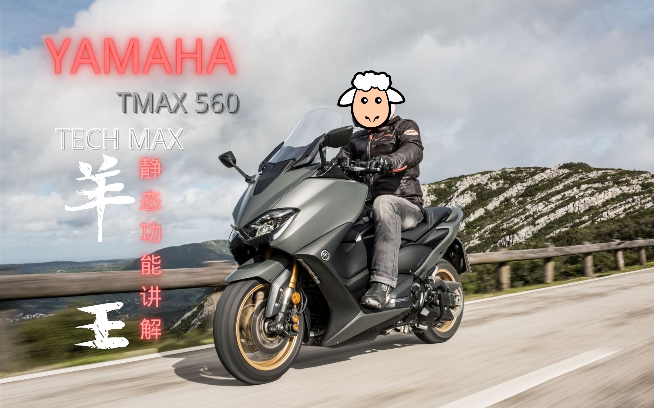 雅马哈tmax 560 静态配置与按键介绍