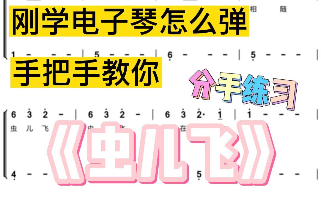 不要一分钟带你轻松学会这首清甜儿歌《虫儿飞》,电子琴0基础快来练练手!哔哩哔哩bilibili