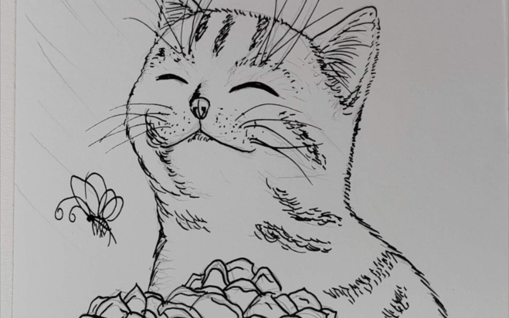 晒太阳的猫简笔画图片
