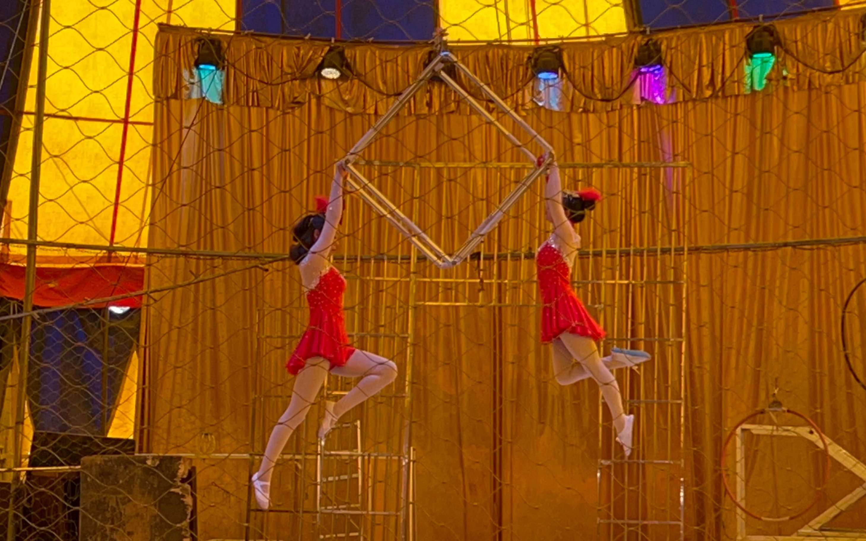 吴桥鑫鑫大马戏_哔哩哔哩_bilibili