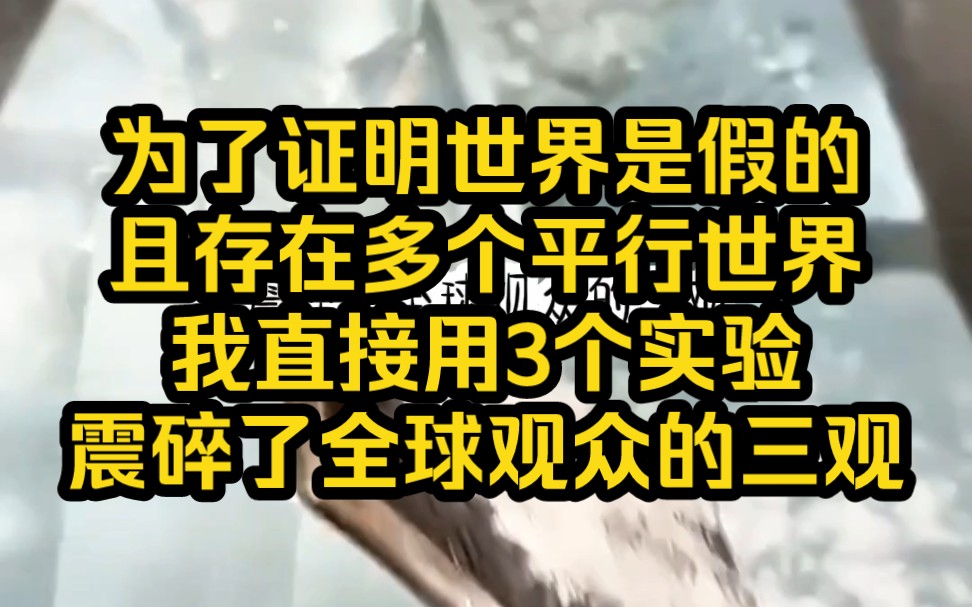 为了证明世界是假的、且存在多个平行世界.我直接用3个实验震碎了全球观众的三观——铭《缸中世界》哔哩哔哩bilibili