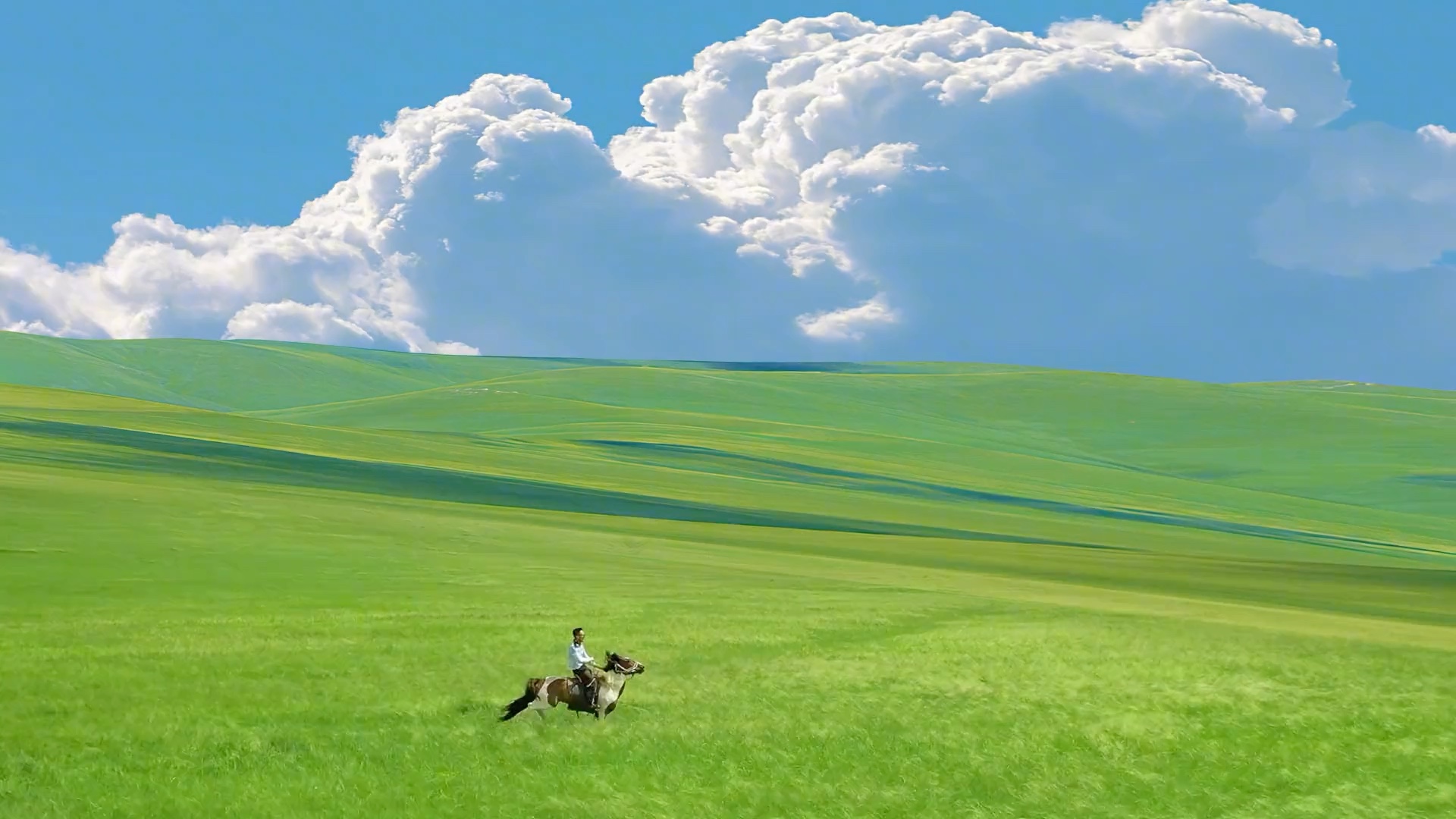 来呼伦贝尔大草原,策马迎风#呼伦贝尔大草原 #呼伦贝尔旅游攻略