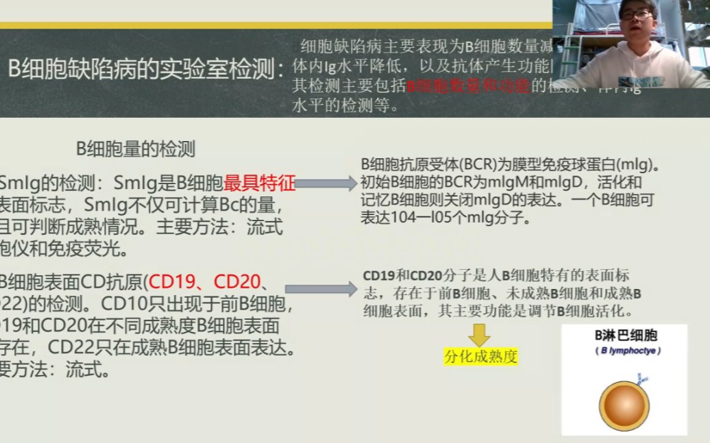 免疫缺陷病的常用检验项目...(B细胞缺陷病检验、T细胞缺陷检验、吞噬细胞缺陷病检验、补体系统缺陷病检验、获得性免疫缺陷病(HIV)检验)哔哩哔哩...