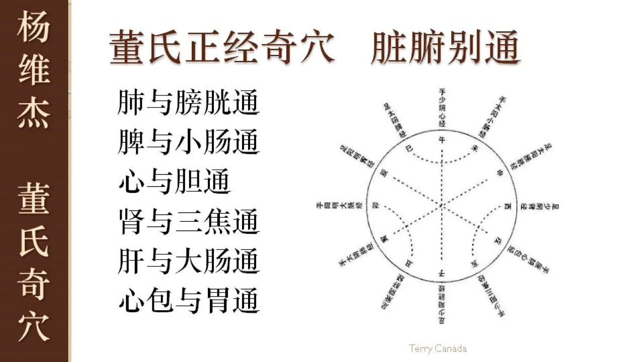 【001】杨维杰 董氏奇穴 董氏奇穴与十四正经哔哩哔哩bilibili