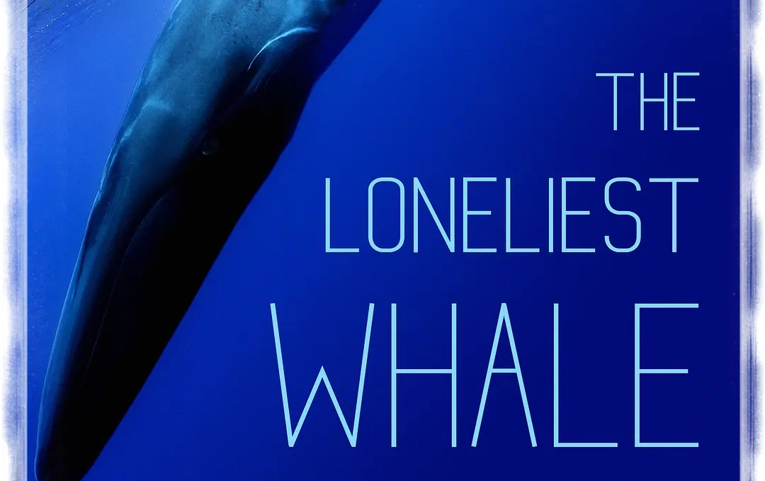 [图]记录丨 最孤独的鲸：寻找52 The Loneliest Whale: The Search for 52 (2021)