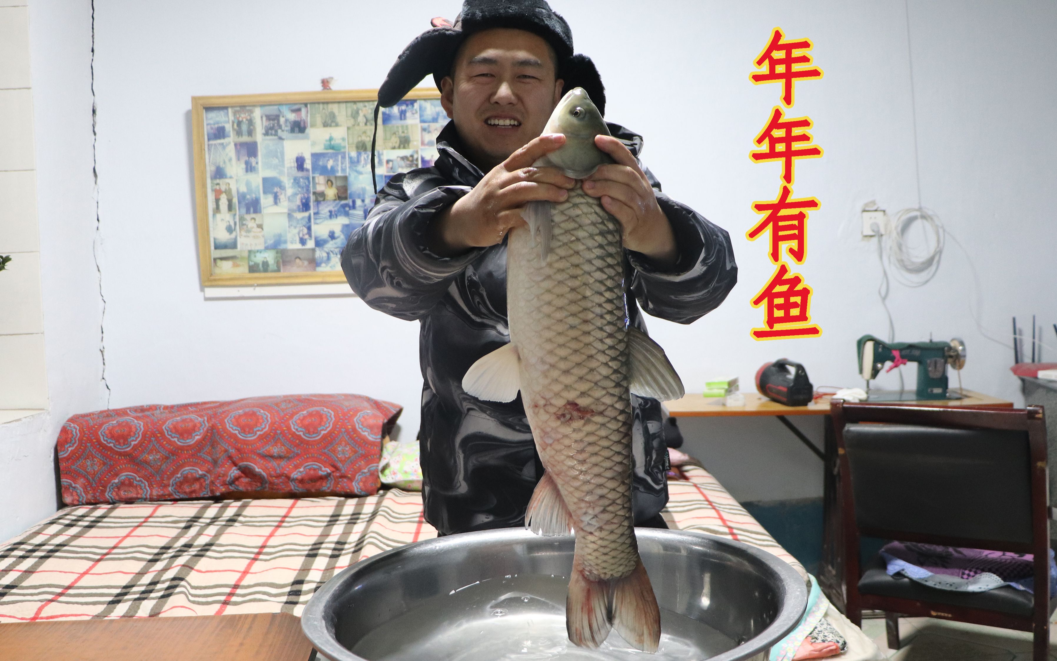 东北铁锅炖草根鱼,宽粉非常入味,爽滑劲道,奶奶说这么吃健康哔哩哔哩bilibili