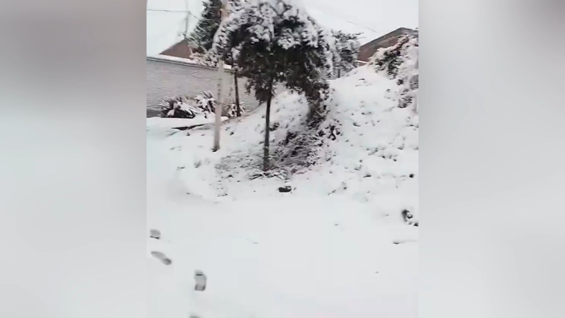 河南西部多地下起鹅毛大雪.网友:一周感受四季哔哩哔哩bilibili