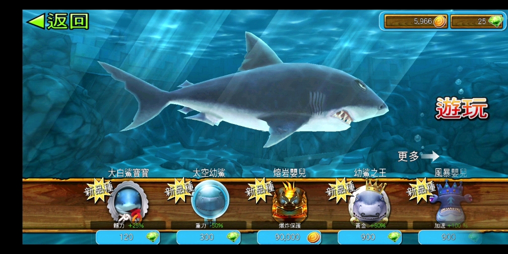 饥饿鲨世界鲨鱼排行图片