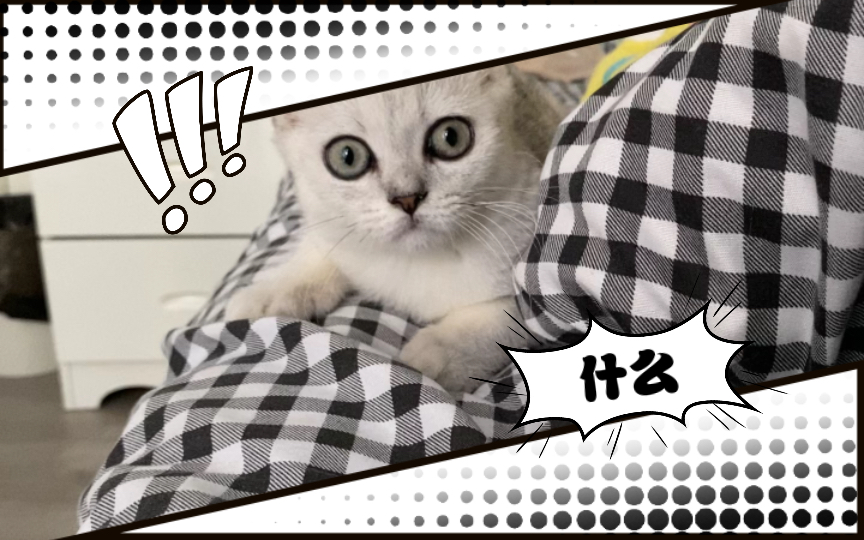 你要亲我?这简直是危言耸听!