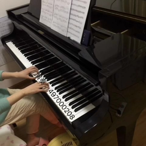 武汉伢 钢琴谱演奏版 五线谱简谱 武汉加油