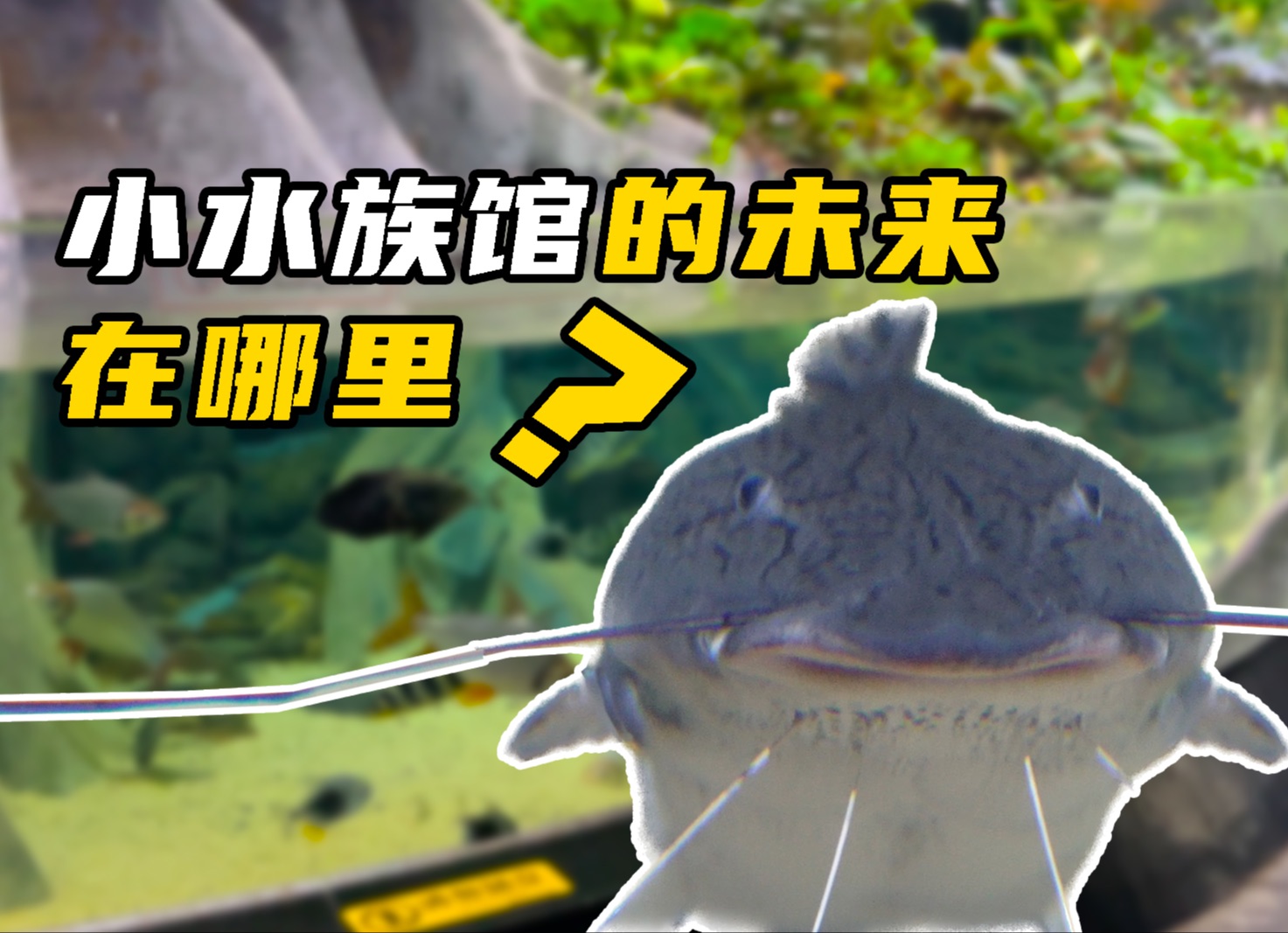 没有动物表演的小水族馆该何去何从?探访江和美海洋公园!哔哩哔哩bilibili