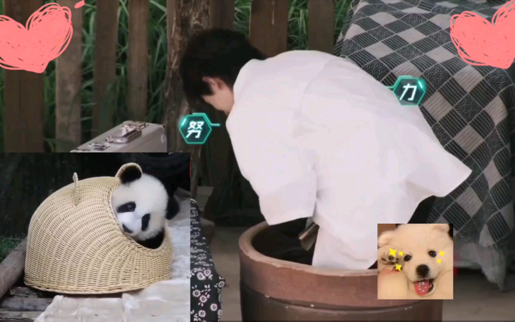 【时代少年团】【宋亚轩】他超可爱的!