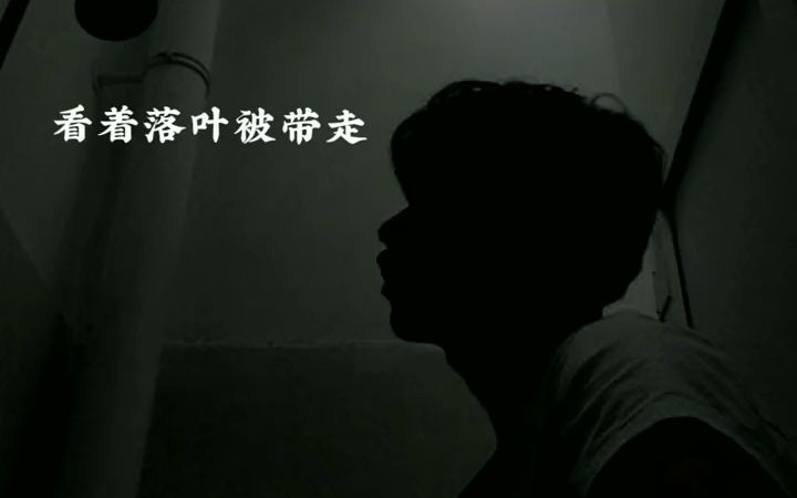 完整版厕所MV震撼来袭!高端大气,尽显奢华听完,你寂寞了吗?哔哩哔哩bilibili