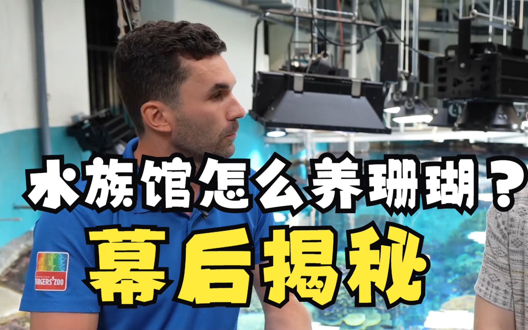 荷兰伯格斯动物园水族馆  欧洲最大珊瑚缸的幕后维护故事哔哩哔哩bilibili