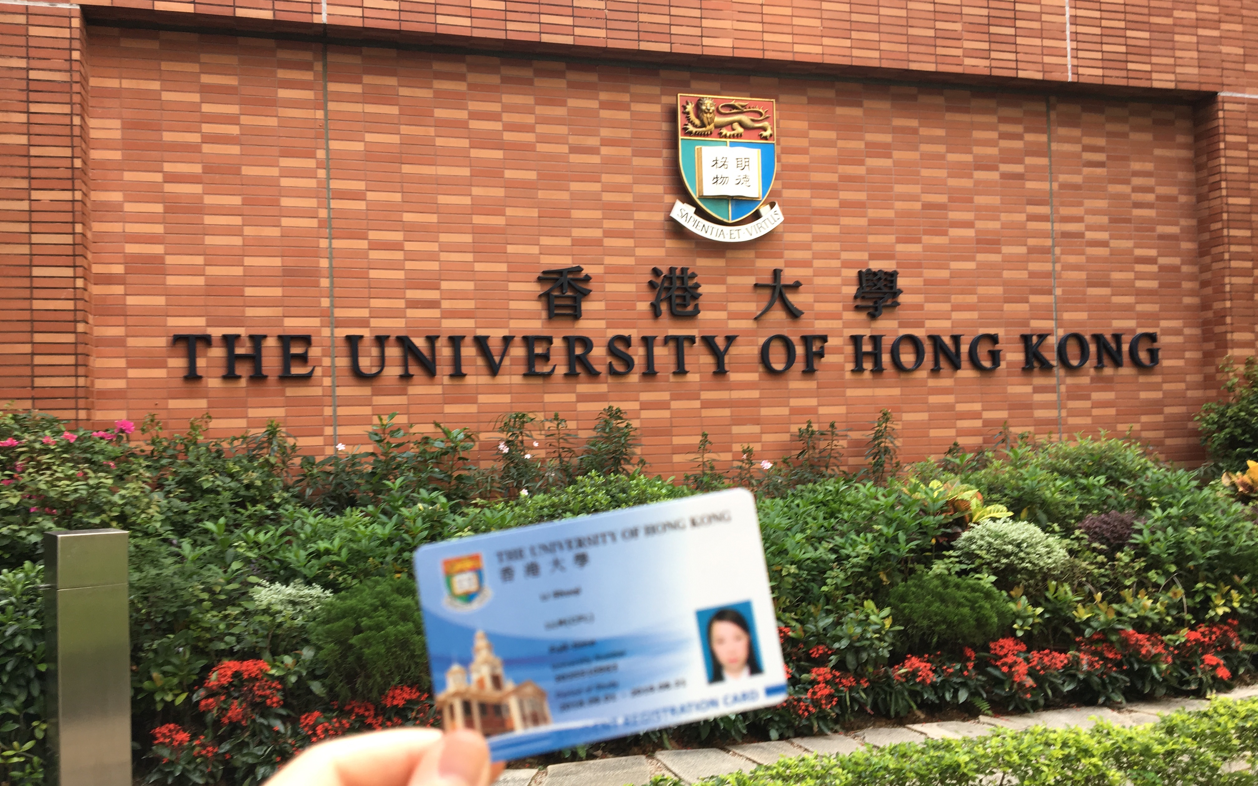 高考结束?香港大学本科入学快去报名!哔哩哔哩bilibili