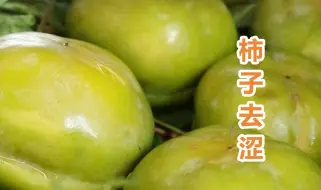 下载视频: 才知道给青柿子去涩这么简单