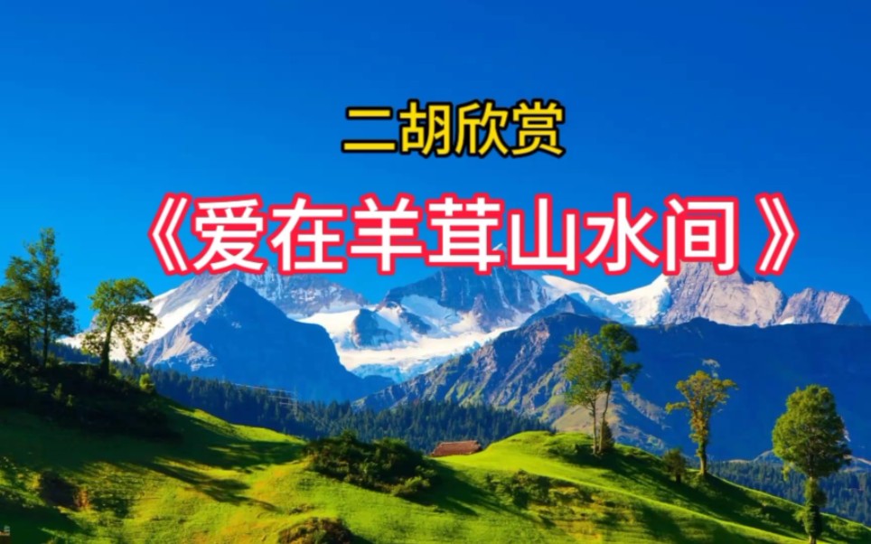 二胡欣赏 《爱在羊茸山水间 》